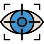 vision